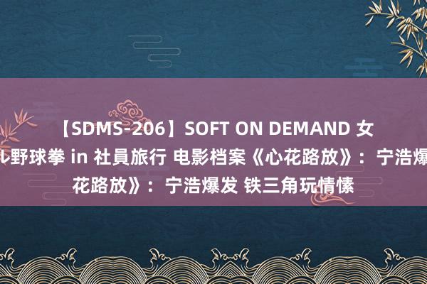 【SDMS-206】SOFT ON DEMAND 女子社員スペシャル野球拳 in 社員旅行 电影档案《心花路放》:宁浩爆发 铁三角玩情愫