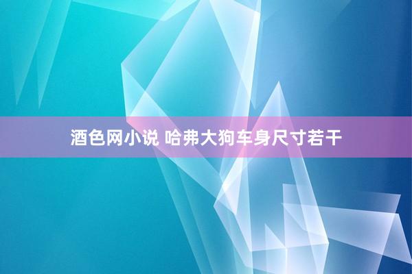 酒色网小说 哈弗大狗车身尺寸若干