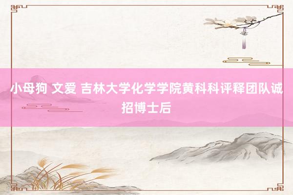 小母狗 文爱 吉林大学化学学院黄科科评释团队诚招博士后
