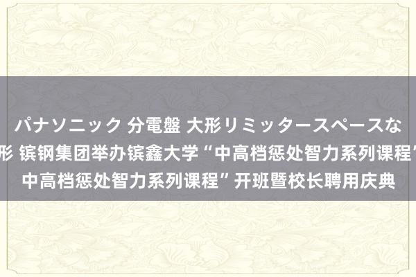パナソニック 分電盤 大形リミッタースペースなし 露出・半埋込両用形 镔钢集团举办镔鑫大学“中高档惩处智力系列课程”开班暨校长聘用庆典
