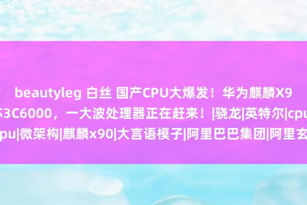 beautyleg 白丝 国产CPU大爆发！华为麒麟X90、阿里玄铁C930、龙芯3C6000，一大波处理器正在赶来！|骁龙|英特尔|cpu|微架构|麒麟x90|大言语模子|阿里巴巴集团|阿里玄铁c930|龙芯3c6000