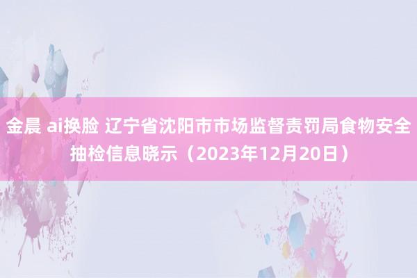 金晨 ai换脸 辽宁省沈阳市市场监督责罚局食物安全抽检信息晓示（2023年12月20日）