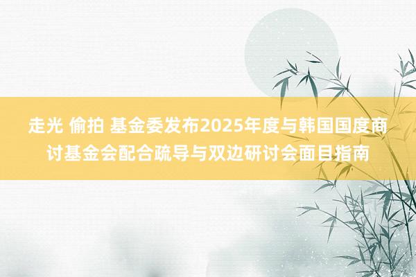 走光 偷拍 基金委发布2025年度与韩国国度商讨基金会配合疏导与双边研讨会面目指南
