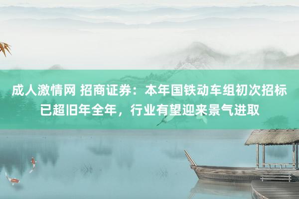 成人激情网 招商证券：本年国铁动车组初次招标已超旧年全年，行业有望迎来景气进取