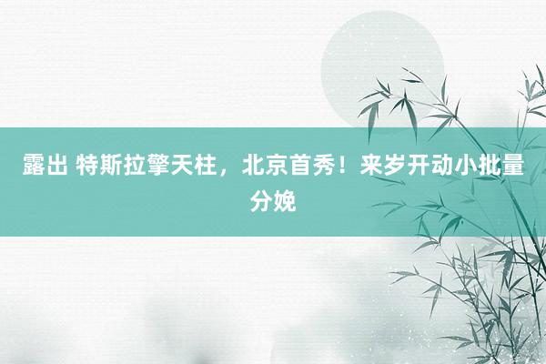 露出 特斯拉擎天柱，北京首秀！来岁开动小批量分娩