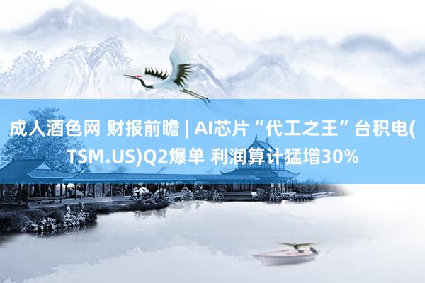 成人酒色网 财报前瞻 | AI芯片“代工之王”台积电(TSM.US)Q2爆单 利润算计猛增30%
