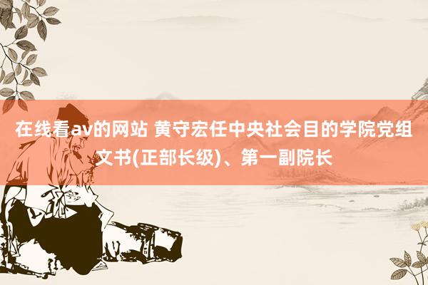 在线看av的网站 黄守宏任中央社会目的学院党组文书(正部长级)、第一副院长