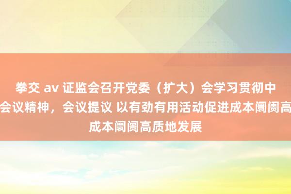 拳交 av 证监会召开党委（扩大）会学习贯彻中央政事局会议精神，会议提议 以有劲有用活动促进成本阛阓高质地发展